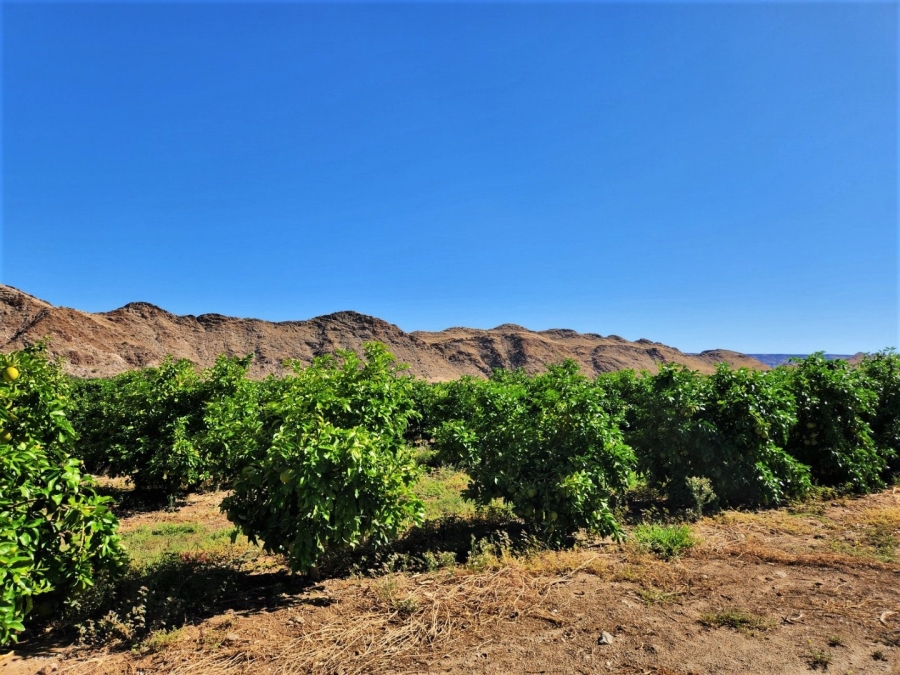 Commercial Property for Sale in Kakamas Rural Northern Cape